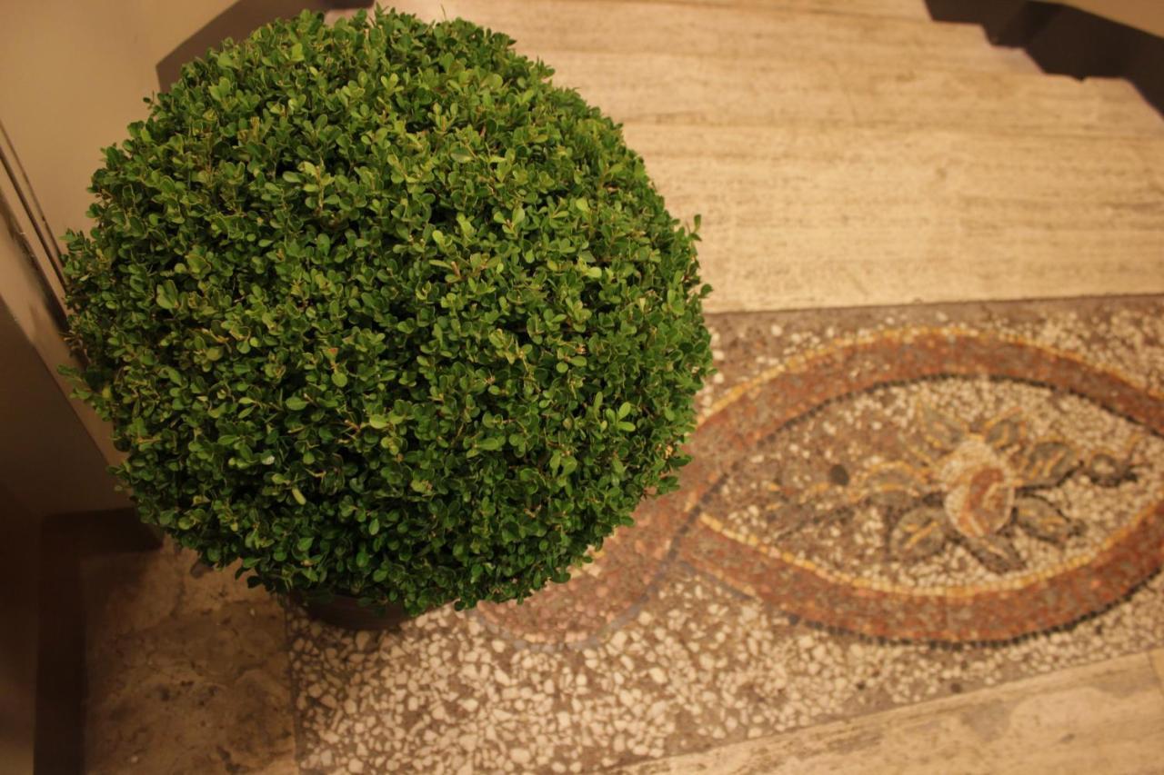 Maison d'hôtes Millina In Navona 3*
